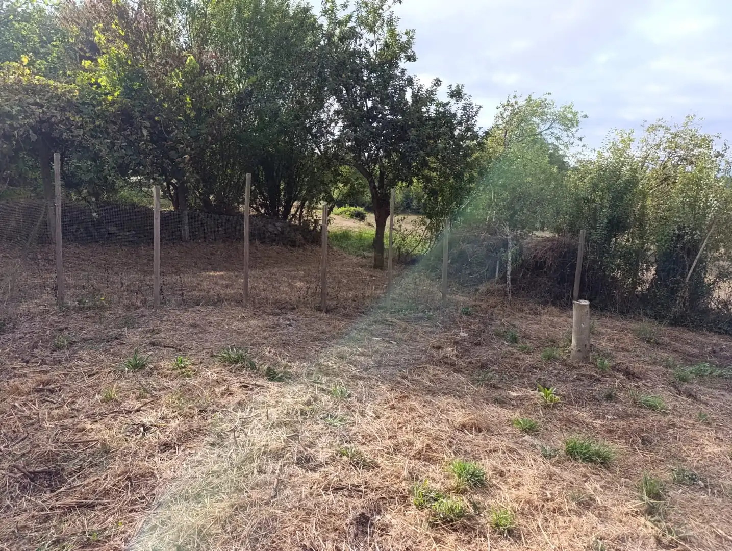 Finca rústica en venda en O Saviñao  amb Jardí privat i Traster