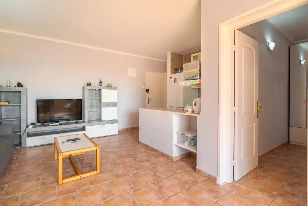Wohnzimmer von Wohnungen zum Verkauf in Arona mit Privatgarten, Terrasse und Möbliert