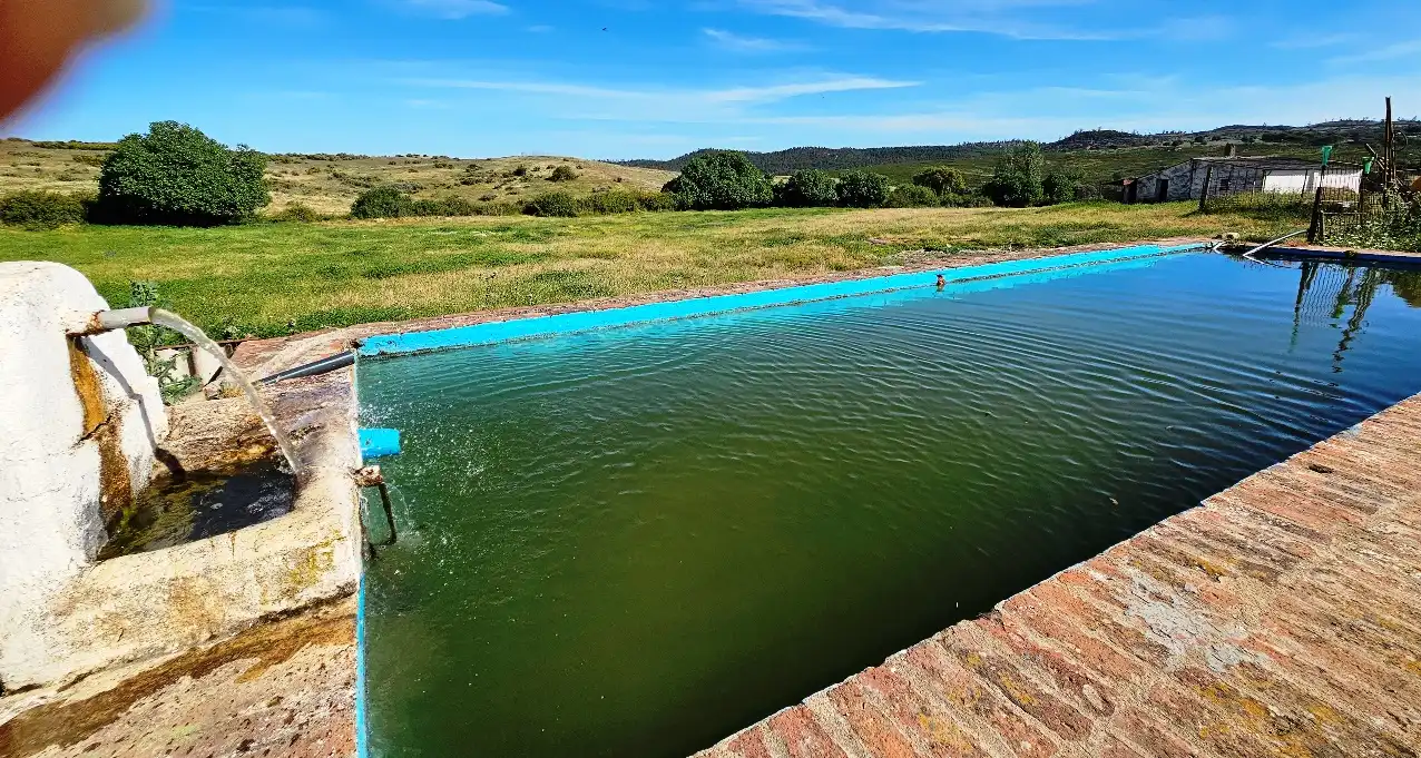 Swimming pool of Country homes for sale in Zufre  with Private garden