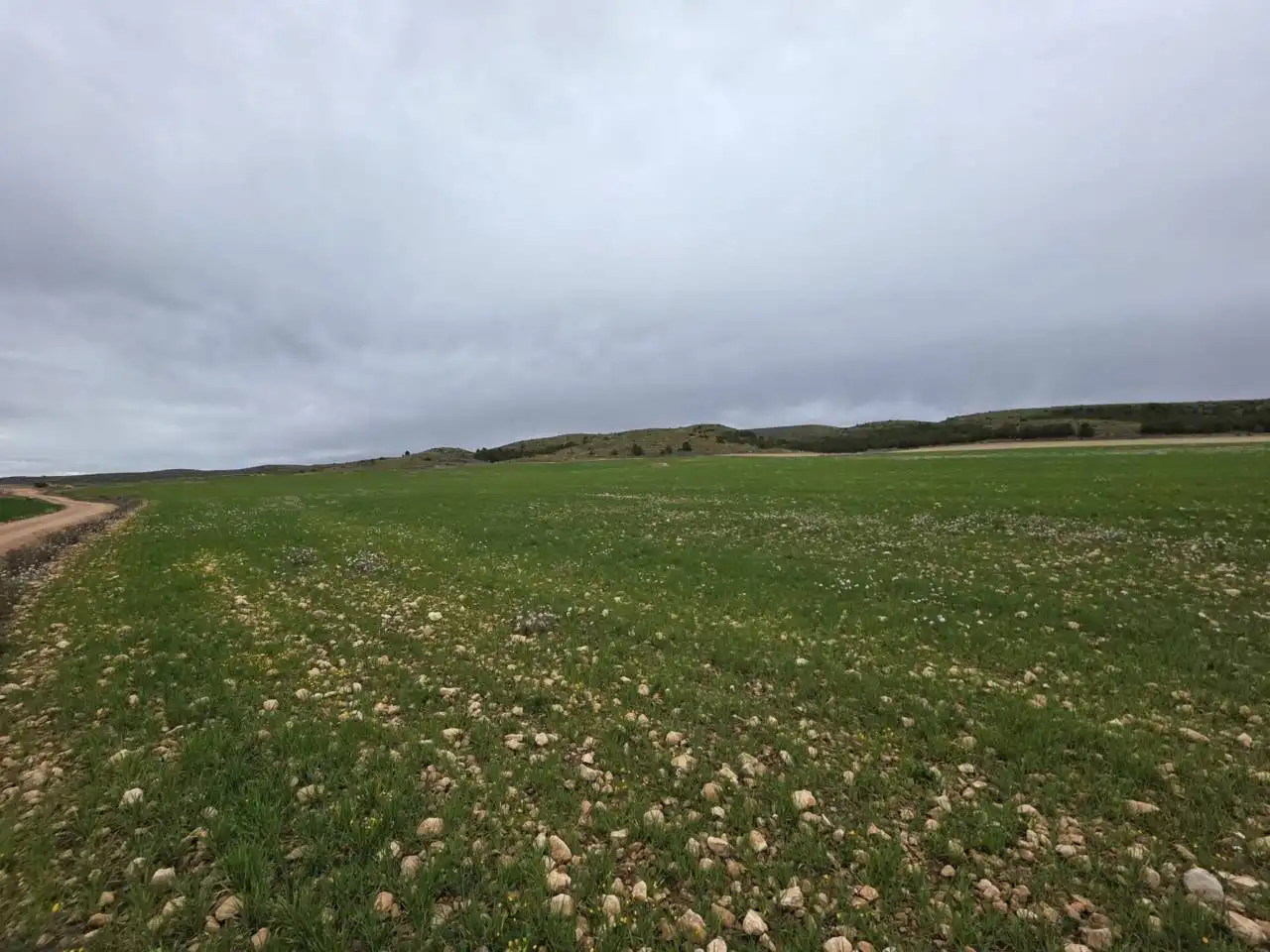 Rural land for sale in Chinchilla de Monte-Aragón, imagen 10