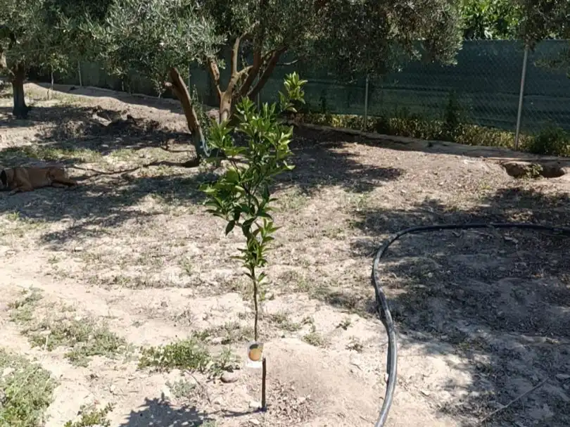 Terreno en venta en Ugíjar