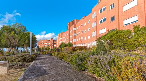 Foto 3 de Piso en venta en Calle de Frida Kahlo, 8, Casco Histórico, Rivas-Vaciamadrid