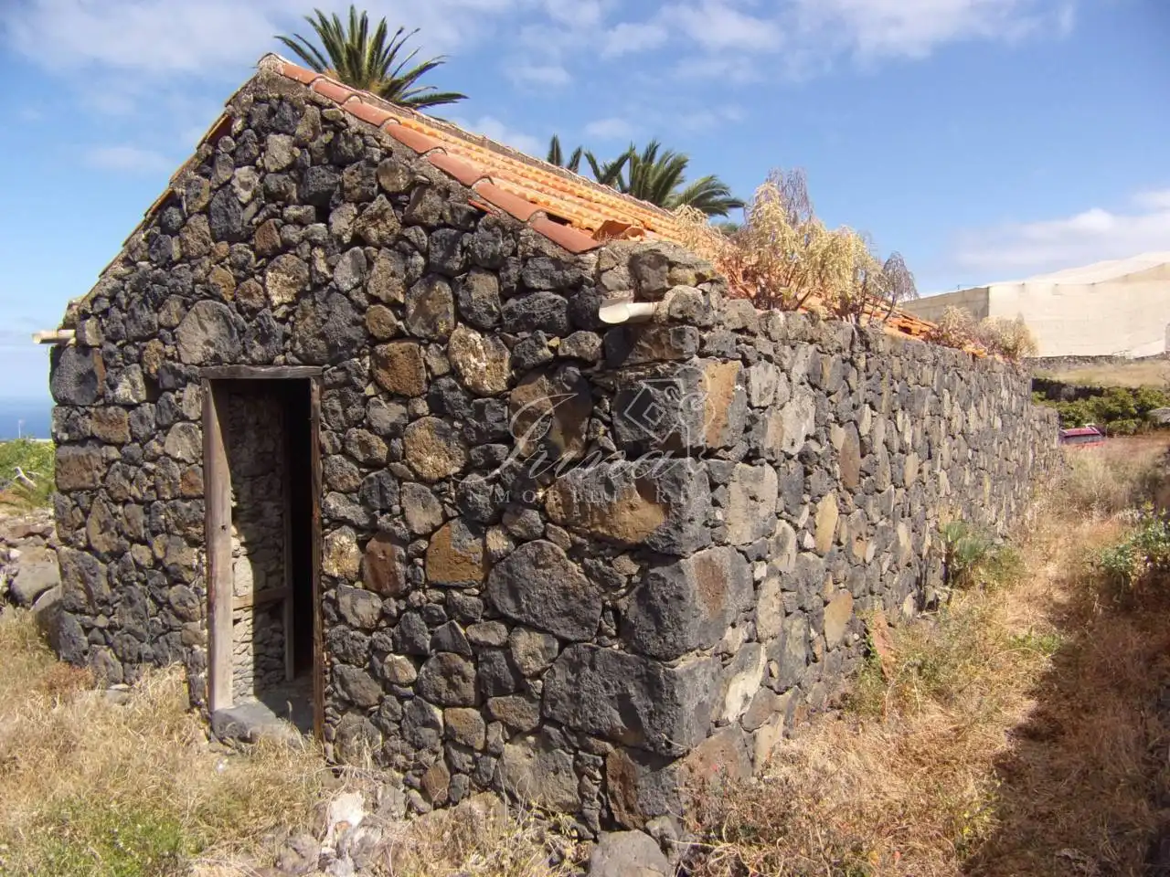Vista exterior de Finca rústica en venta en Tijarafe
