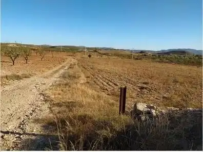 Terreny rústic en venda a Uleila del Campo, imagen 6