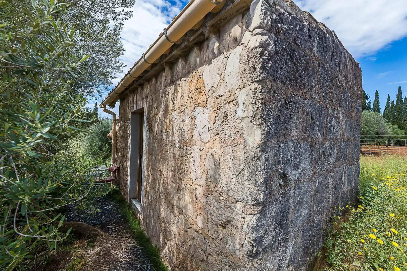 Terreny rústic en venda a Santa María del Camí