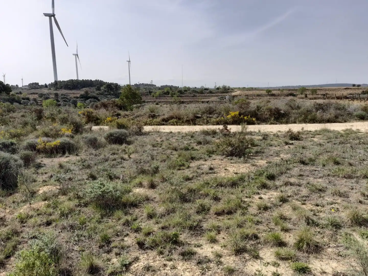 Casa o chalet en venta en Batea con Trastero y Amueblado