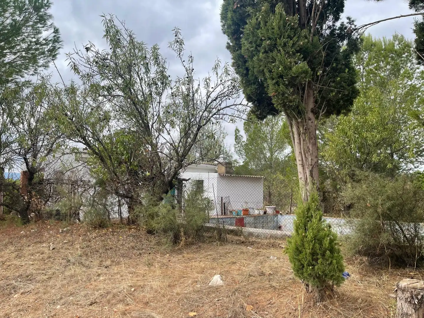 Villa avec piscine à vendre à Turís, imagen 36