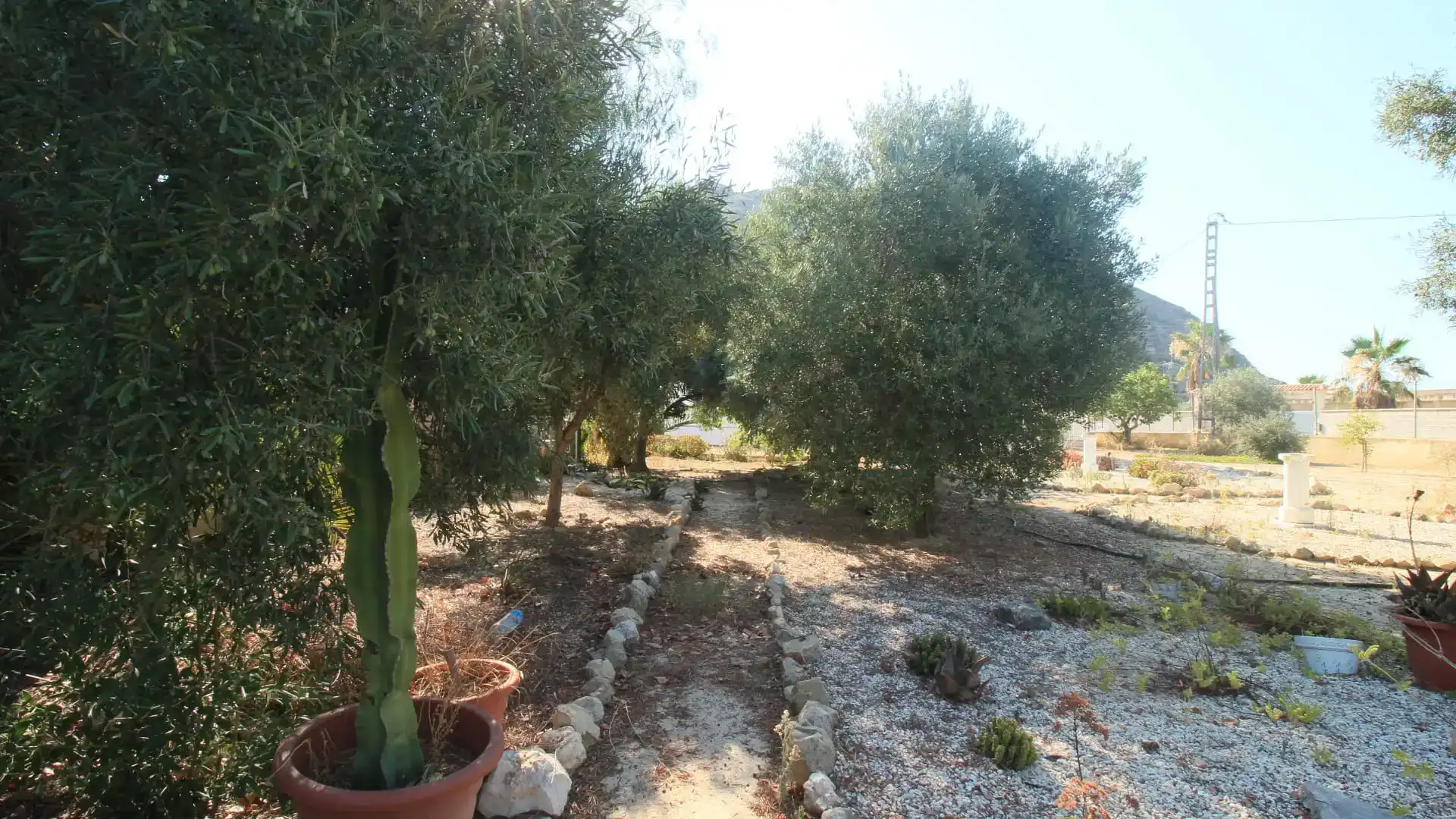 Jardí de Finca rústica en venda en Alicante / Alacant amb Aire condicionat i Piscina