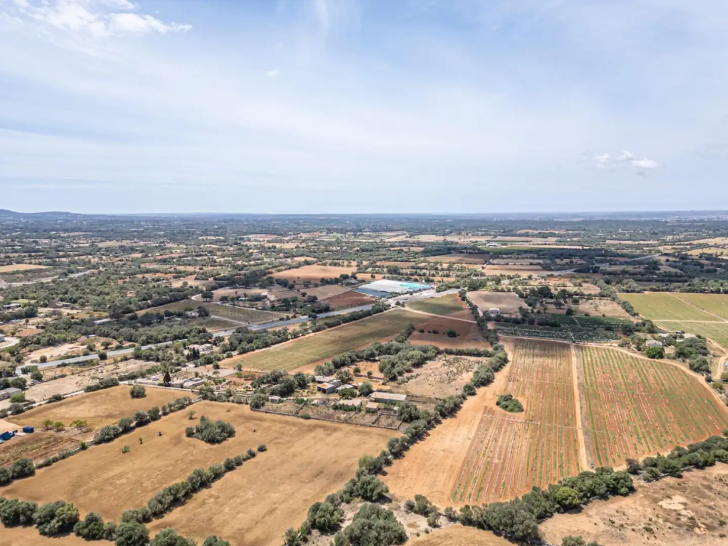 Terreno rustico in vendita a Felanitx Poble, imagen 19