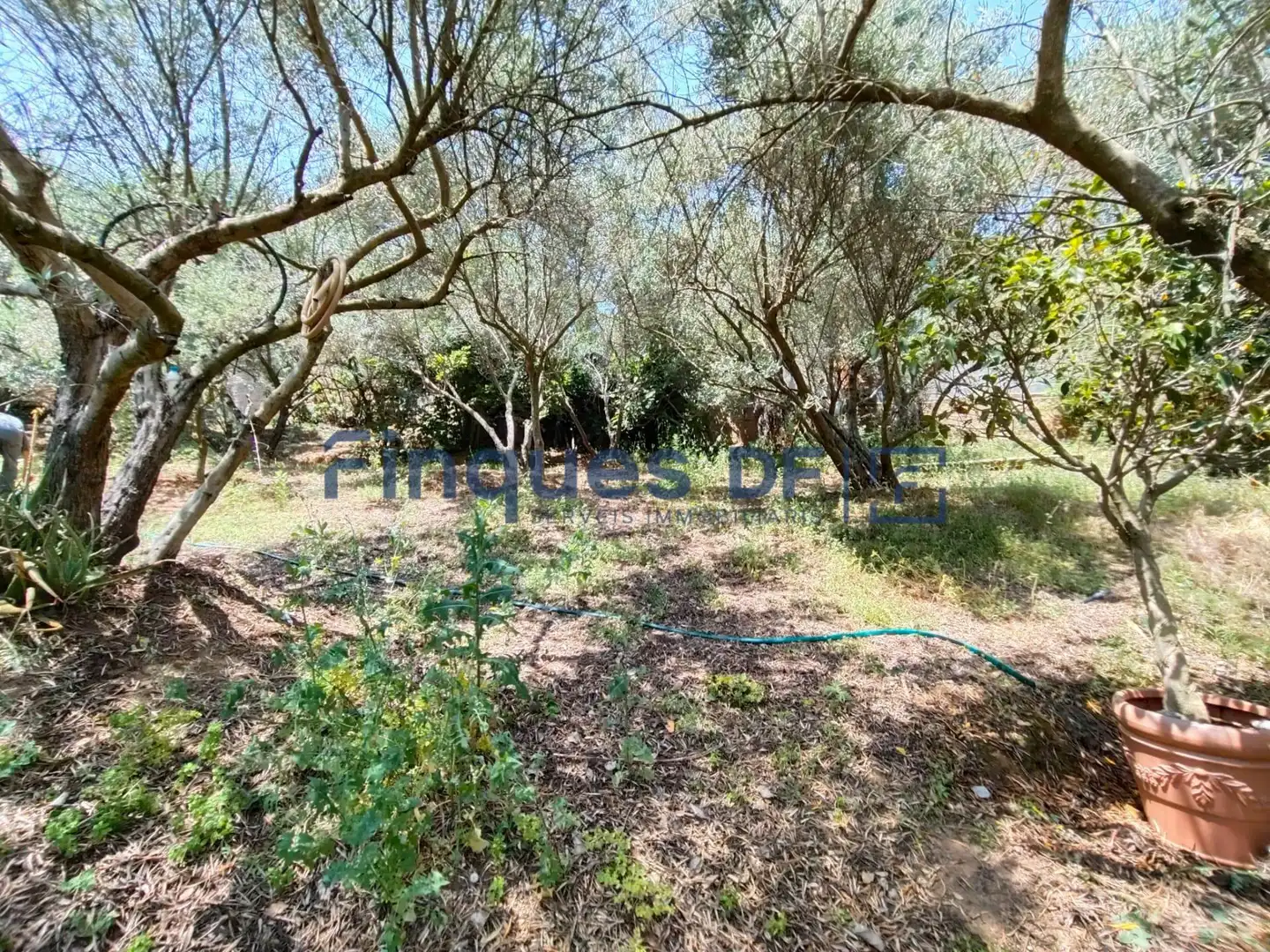 Terrenos y solares en venta en Riudarenes, imagen 9