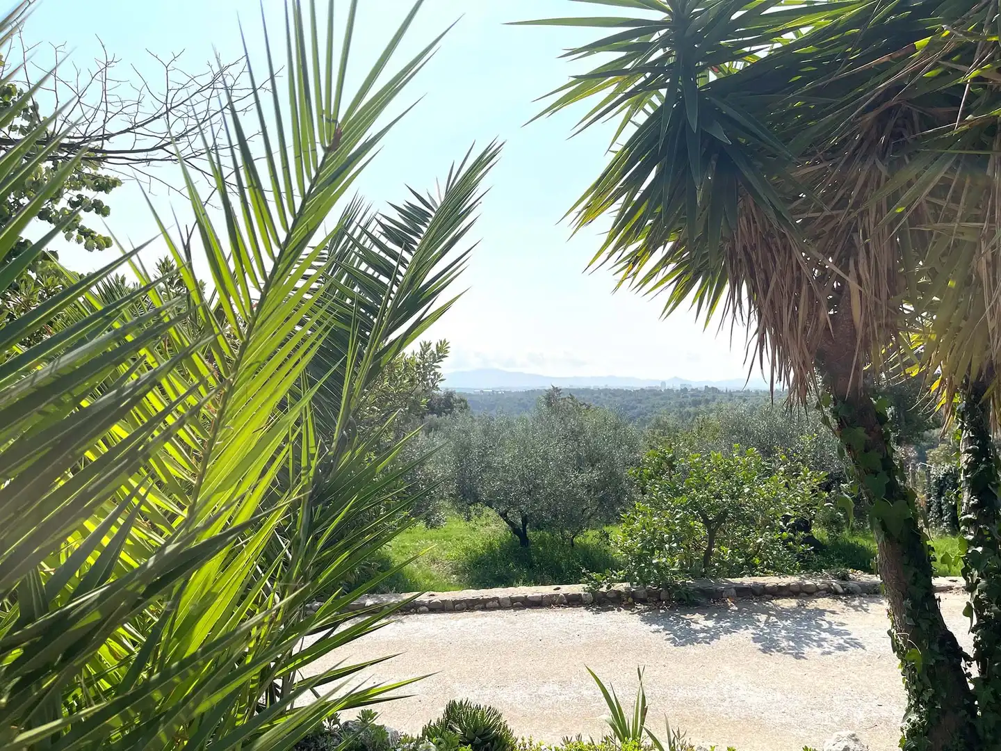 Houses for sale in Terrassa  with Heating, Terrace and Swimming Pool