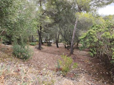 Terrenos y solares en venta en La Bisbal del Penedès