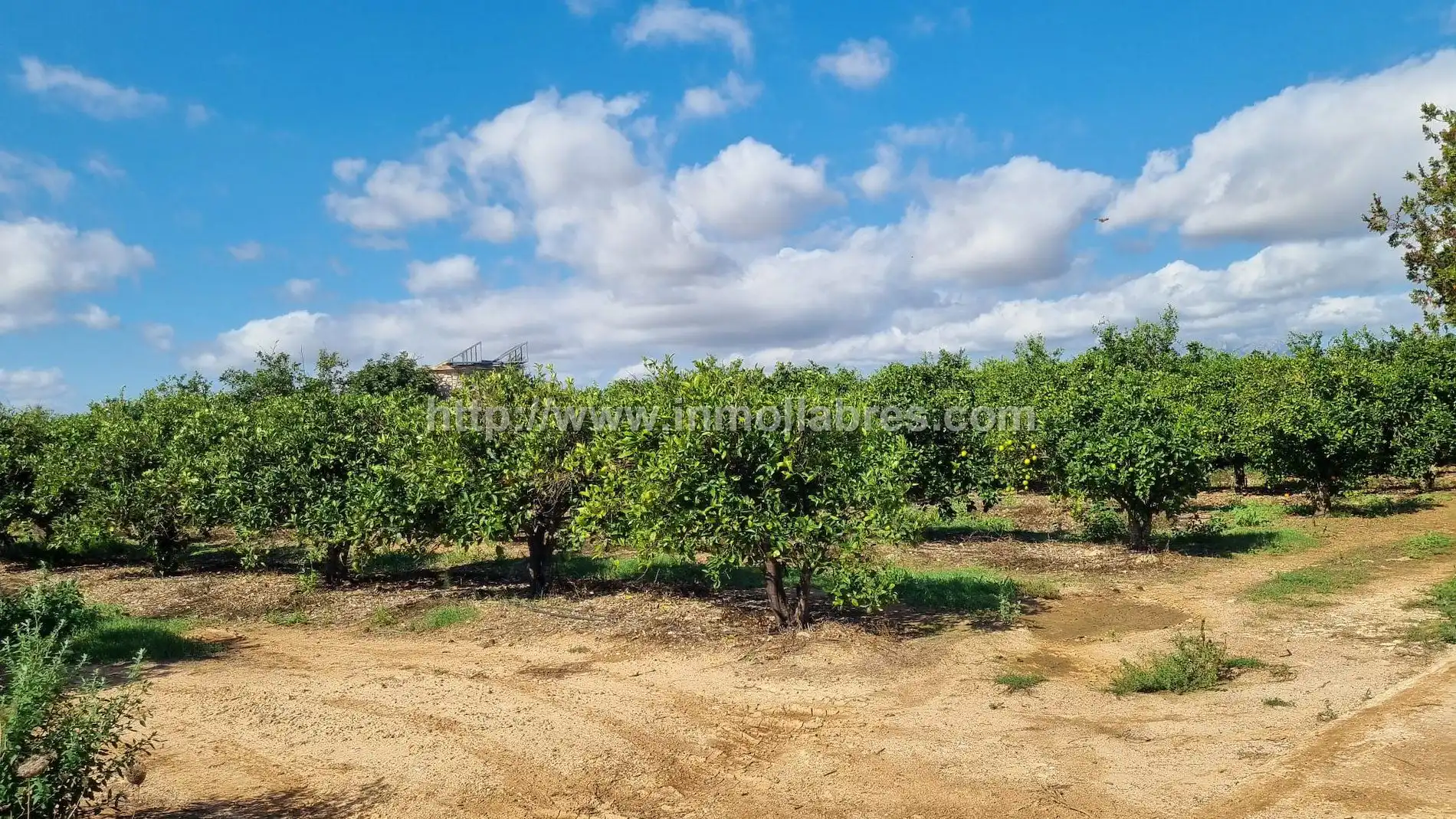 Maison rustique à vendre à Muro, imagen 12