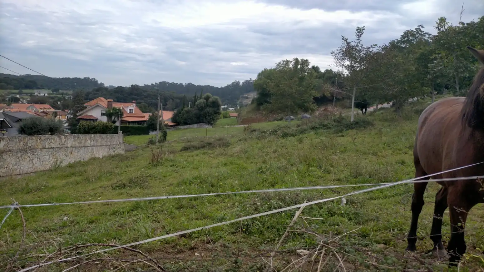 Terreni e lotti in vendita a Escobedo, imagen 2