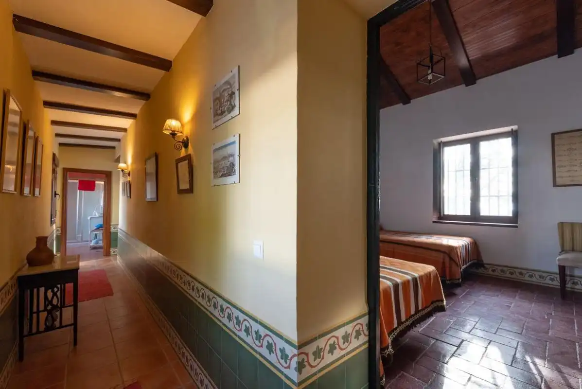 Casa amb terrassa en venda a C. Nueva, imagen 47