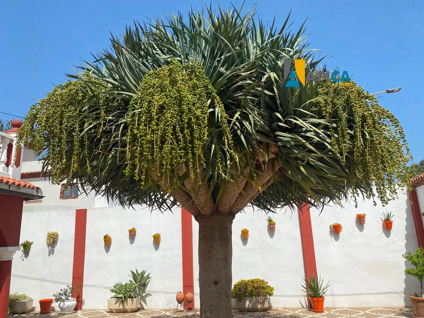 Haus zum Verkauf in Mondejar - Junquillos, imagen 28
