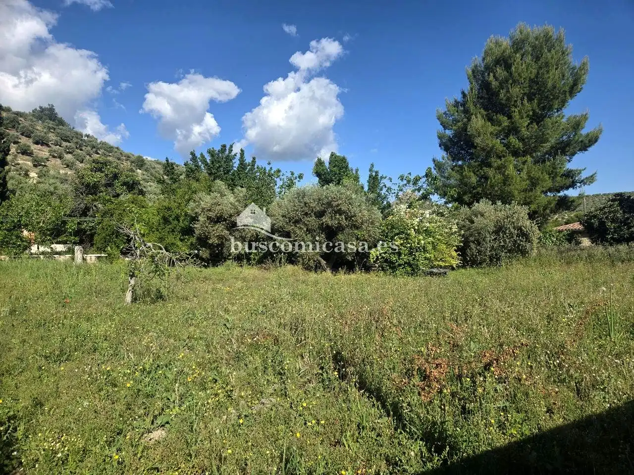 Casa o xalet en venda en Jaén amb Jardí privat, Traster i Moblat