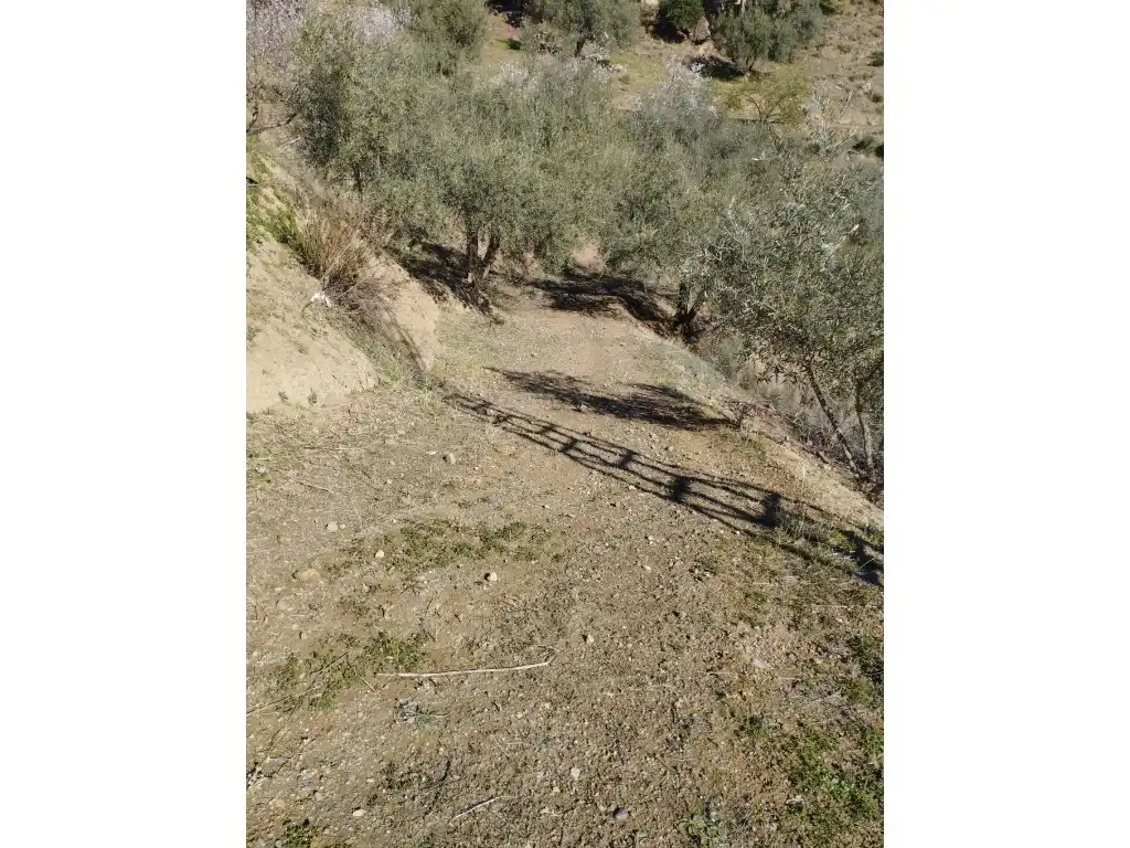 Casa o chalet en venta en Riogordo