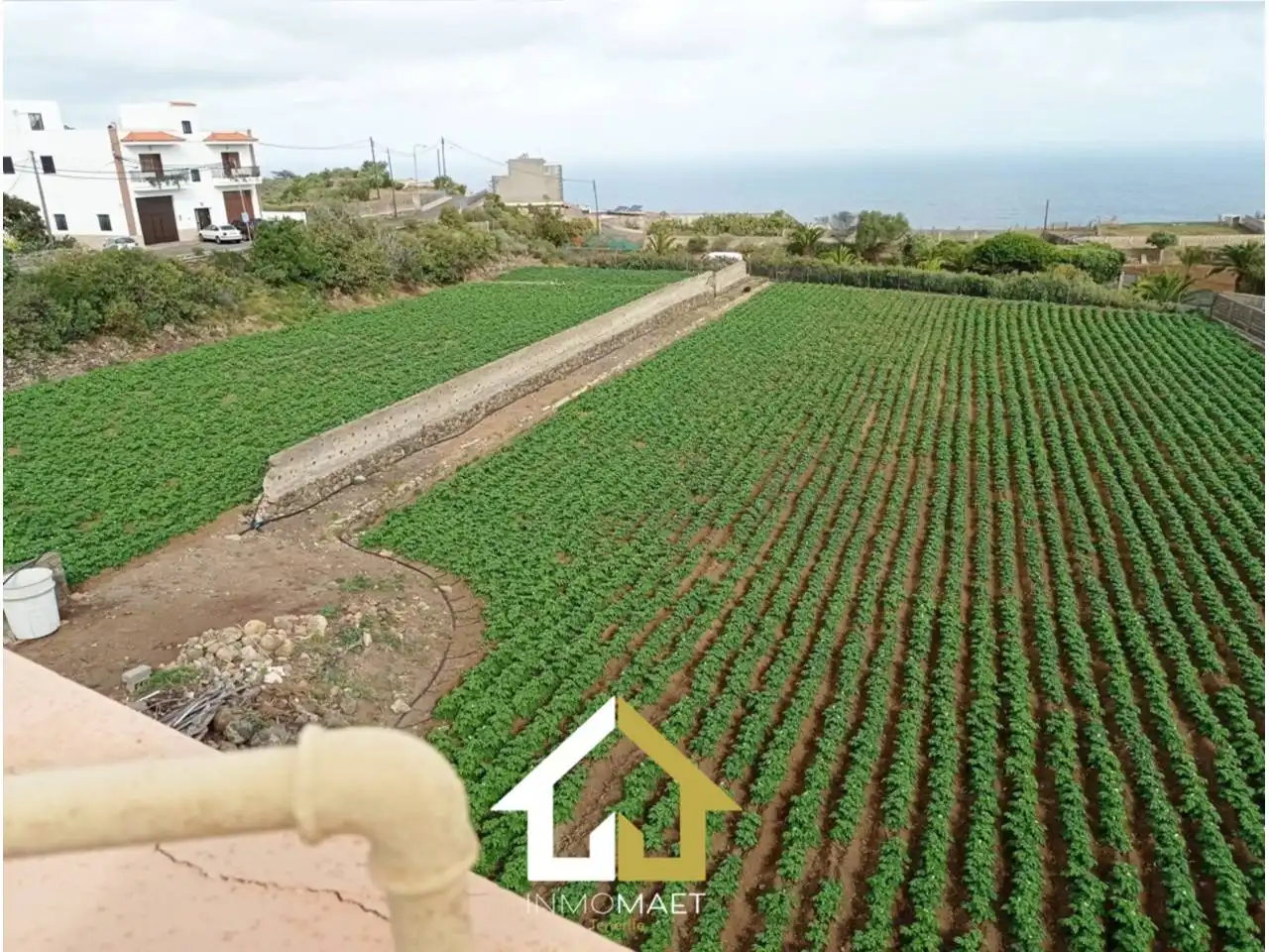 Rural land for sale in Camino Cueva del Rey 12, imagen 8