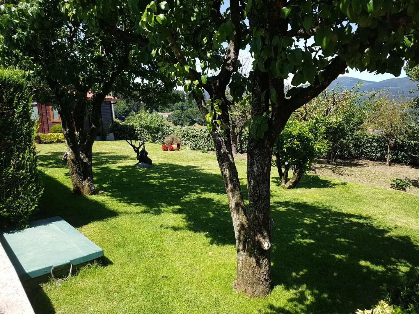 Jardí de Casa o xalet en venda en Campo Lameiro amb Piscina