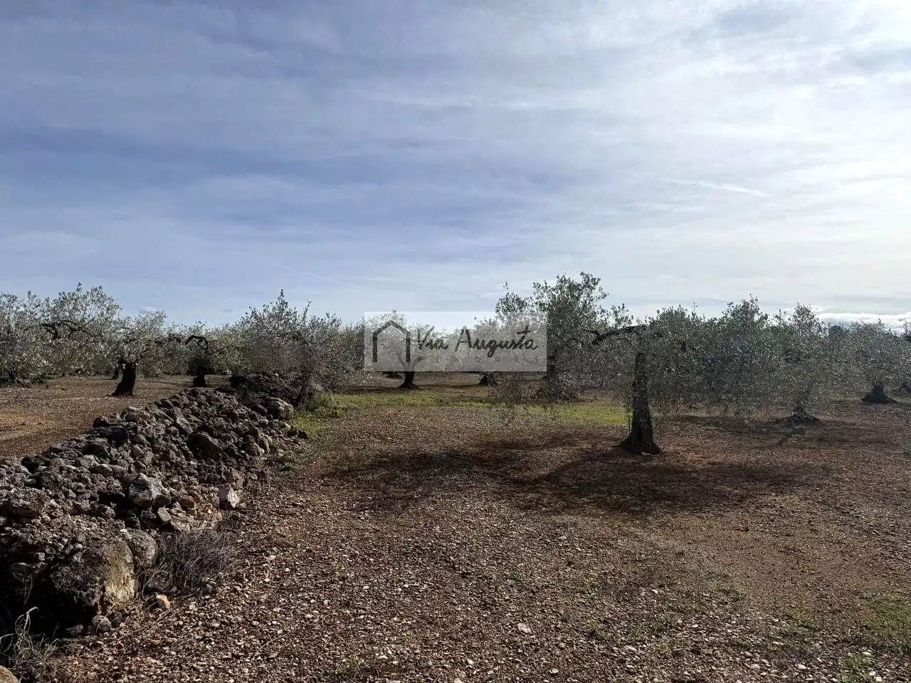 Terreno rustico in vendita a Burgà, imagen 4