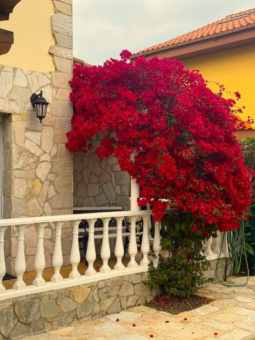 Terraza de Casa o chalet en venta en Gijón  con Calefacción, Terraza y Piscina