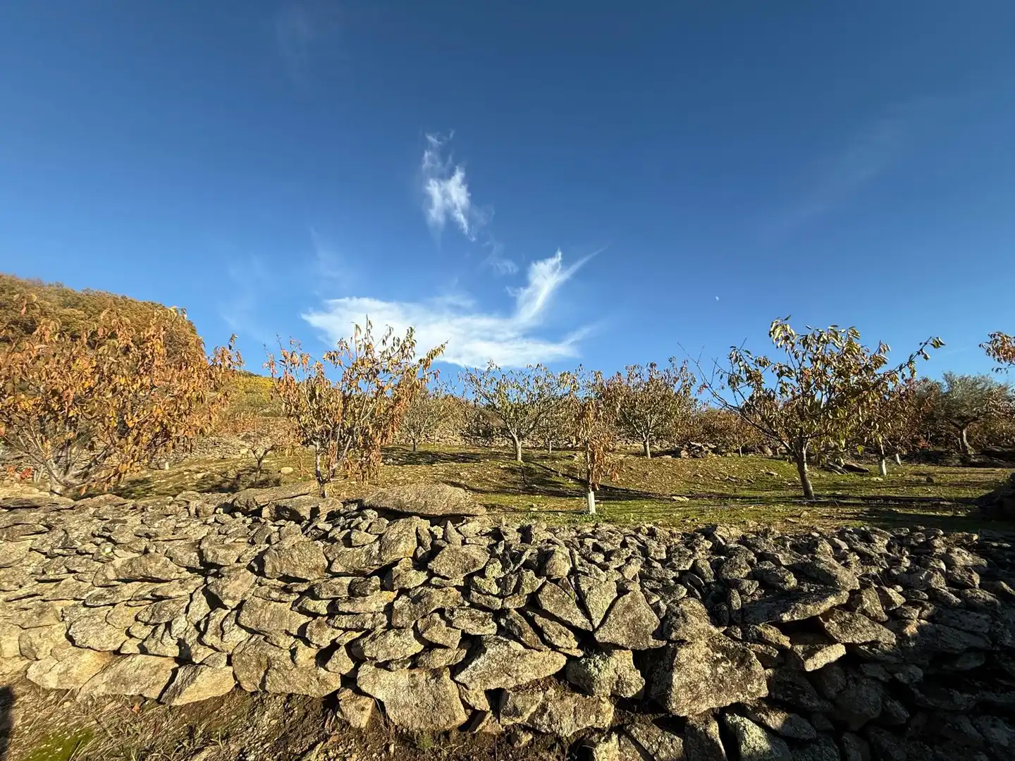Exterior view of Land for sale in Arroyomolinos de la Vera