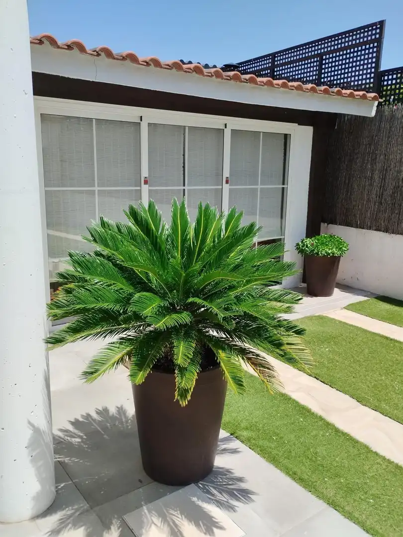 Garden of Houses for sale in Sevilla  with Private garden, Terrace and Balcony