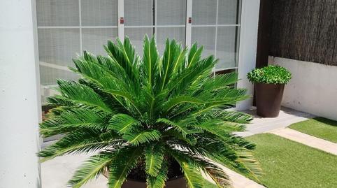 Foto 4 de Casa o chalet en venta en San Jerónimo - La Bachillera,  Sevilla Capital