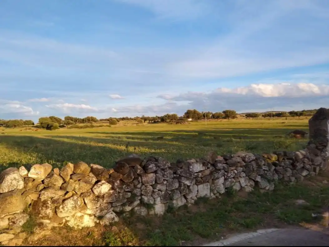 Land for sale in Ceclavín