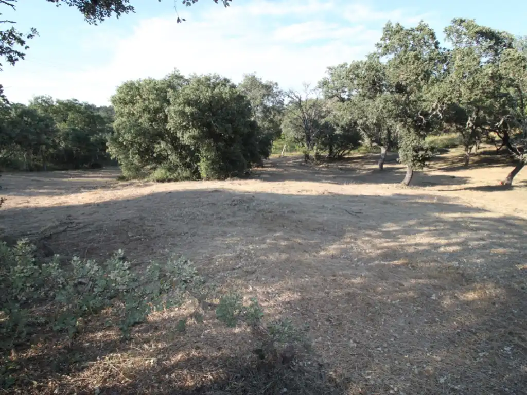 Residential land for sale in Ciudalcampo, imagen 11