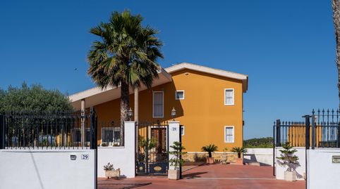 Foto 2 de Finca rústica en venta en Desamparados - Hurchillo - Torremendo, Orihuela