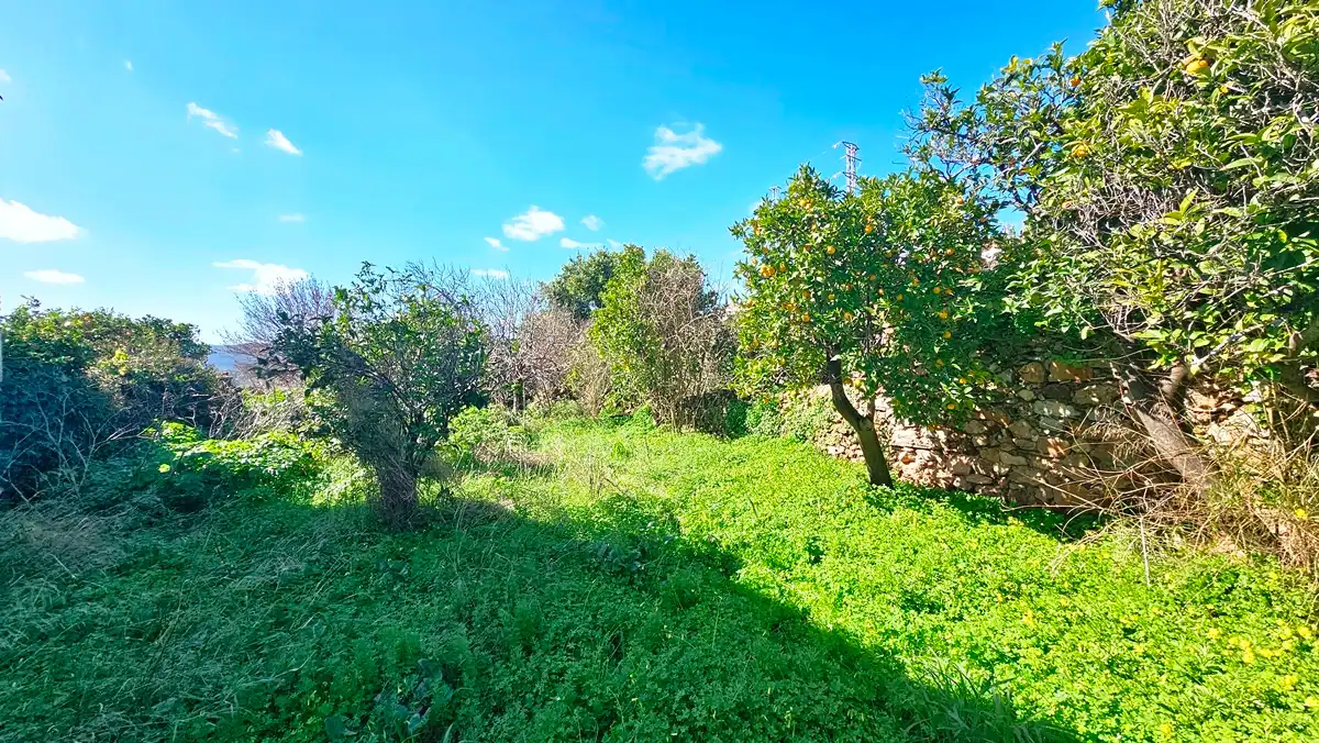 Casa o chalet en venta en Cañaveral de León