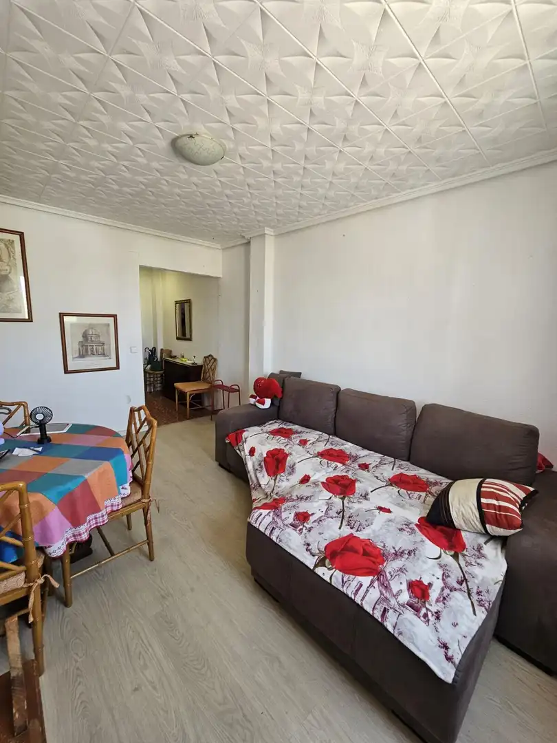 Sala de estar de Piso en venta en Valencia con Aire acondicionado y Amueblado