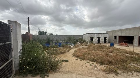 Foto 4 de Finca rústica en venda a Las Palmeras - Dehesilla, Sanlúcar de Barrameda