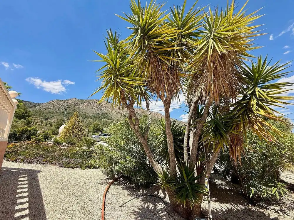 Jardí de Casa o xalet en venda en La Romana amb Aire condicionat