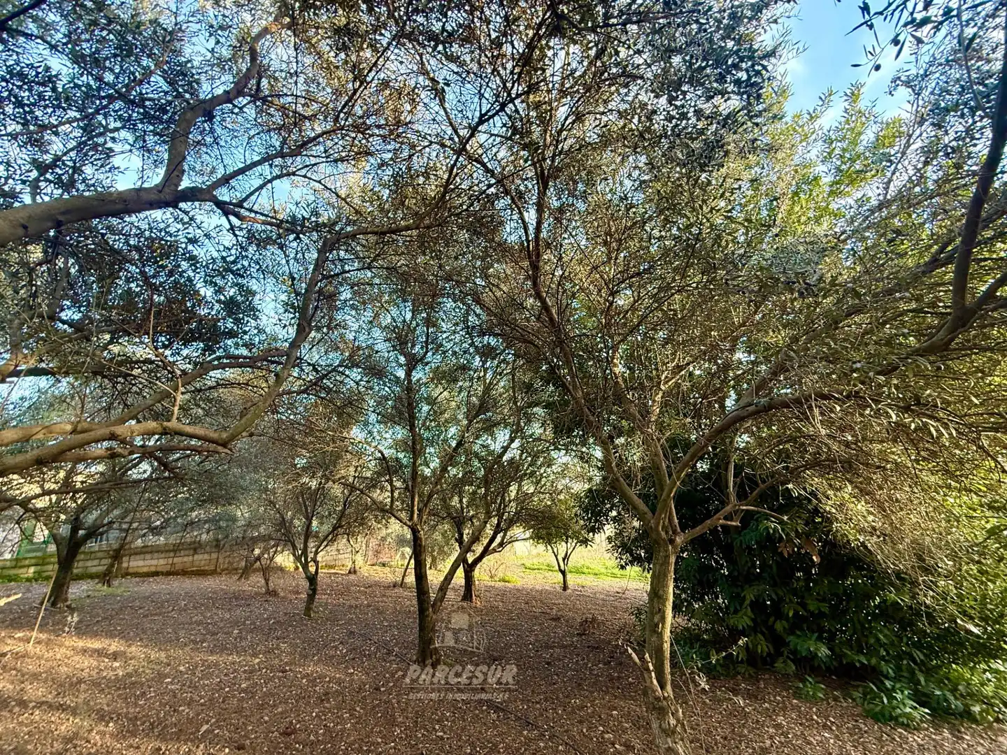 Casa con piscina en venta en Periurbano Este - Campiña, imagen 14