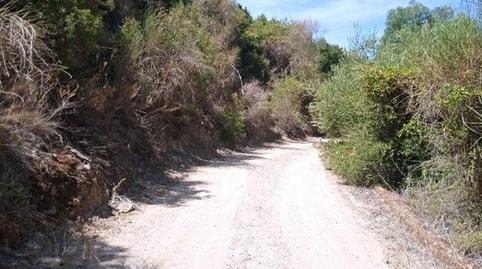 Photo 5 of Land for sale in El Jeme, Polígono 60, Morón de la Frontera, Sevilla