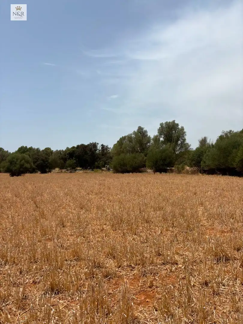 Finca rústica en venta en Sencelles