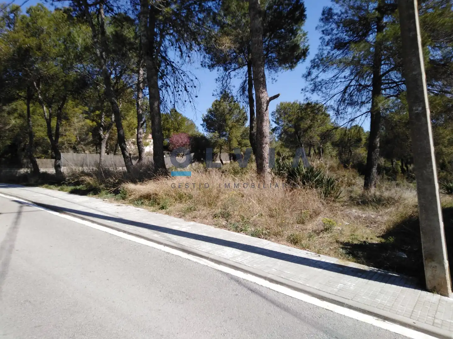 Terreny residencial en venda a Vacarisses