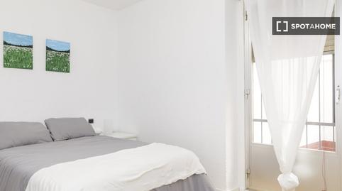 Foto 2 de Piso para compartir en Paseo Independencia,  Zaragoza Capital