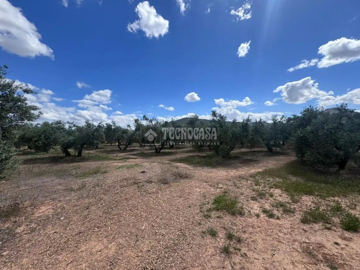 Terrenys i solars en venda a Albolote, imagen 7