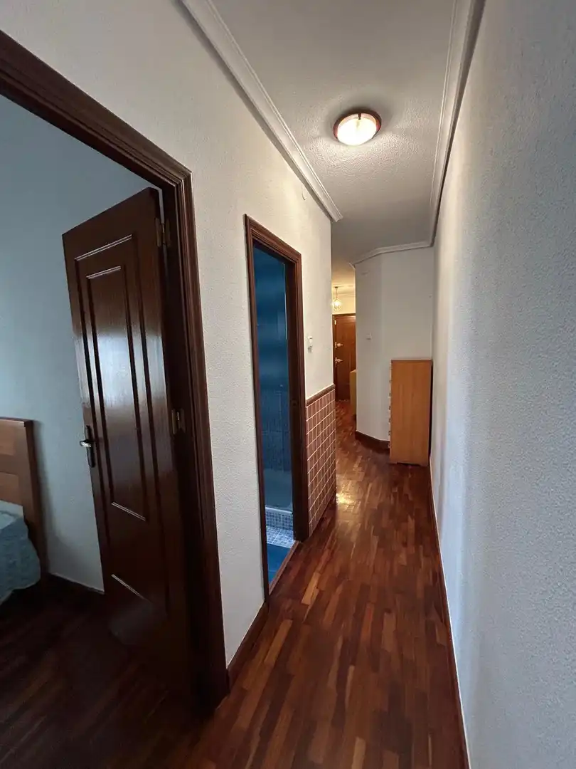 Wohnung zur Miete in Plaza Circular, Vistalegre