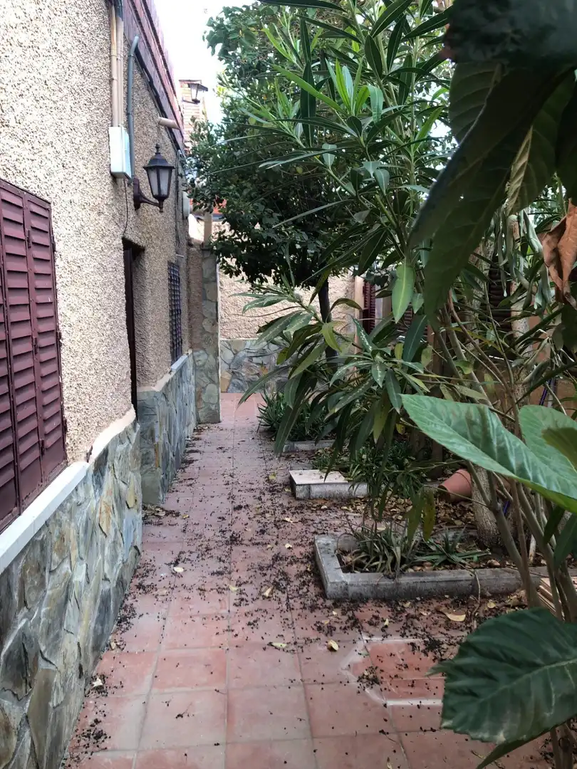Jardí de Casa o xalet en venda en Madrid amb Calefacció i Terrassa