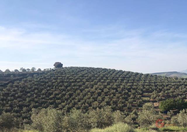 Finca rústica en Venta en Castril