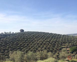 Finca rústica en venda a Castril