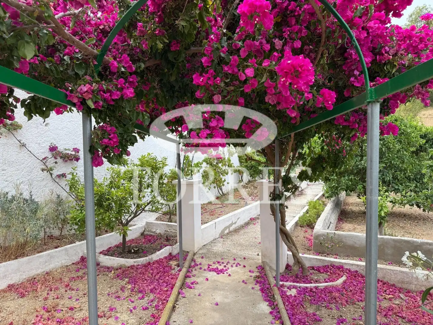 Vista exterior de Casa o chalet en venta en Málaga con Terraza, Trastero y Piscina