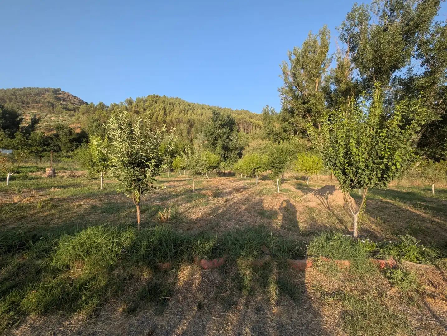 Country house zum Verkauf in Alcaudete mit Klimaanlage, Privatgarten und Schwimmbad