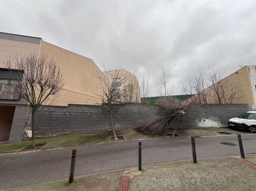 Terreno residenziale in vendita a Carretera ďOlesa 286