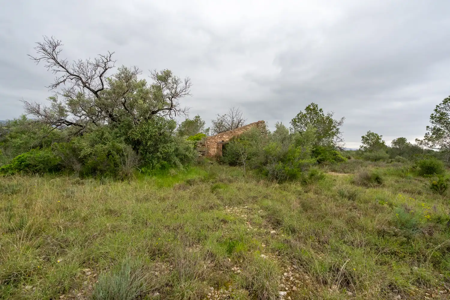Terrain rustique à vendre à Camí Vell del Cementiri 4, imagen 12